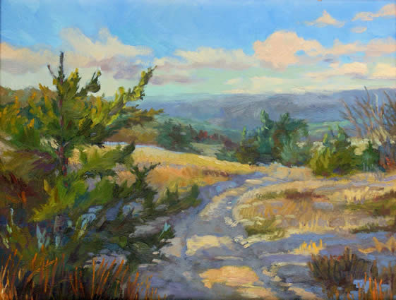Morning Dunes